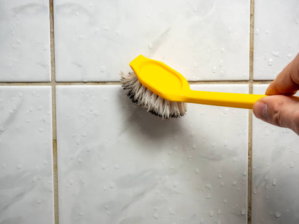 Best Attic Mold Removal  in Mathews, LA