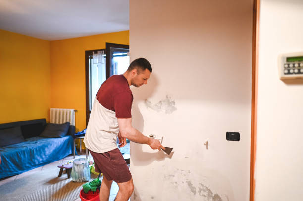 Best Professional Mold Removal  in Mathews, LA