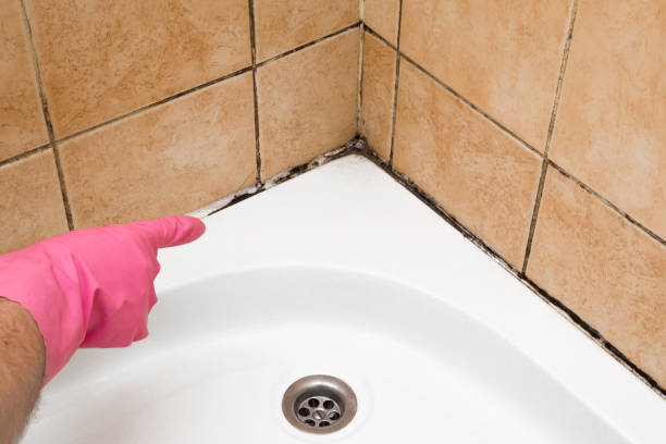 Best Residential Mold Removal  in Mathews, LA